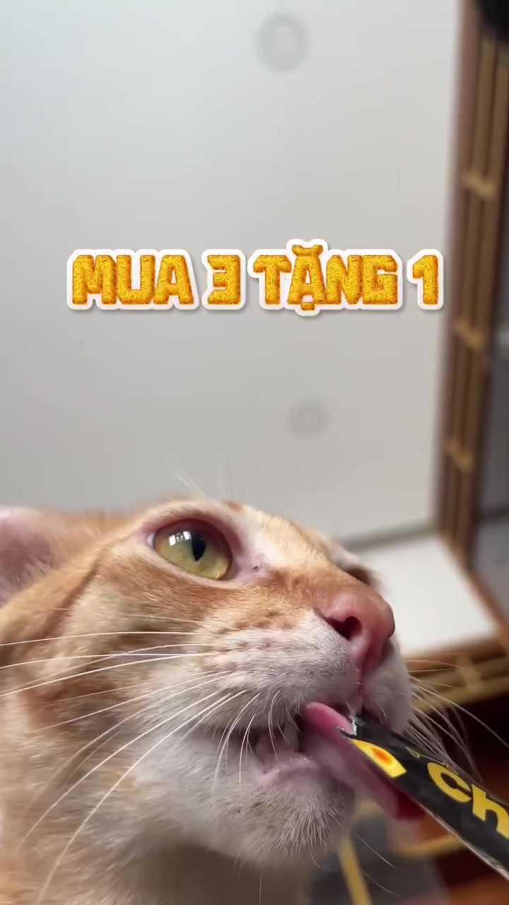 @Sếp Tôi Là Một Con Mè