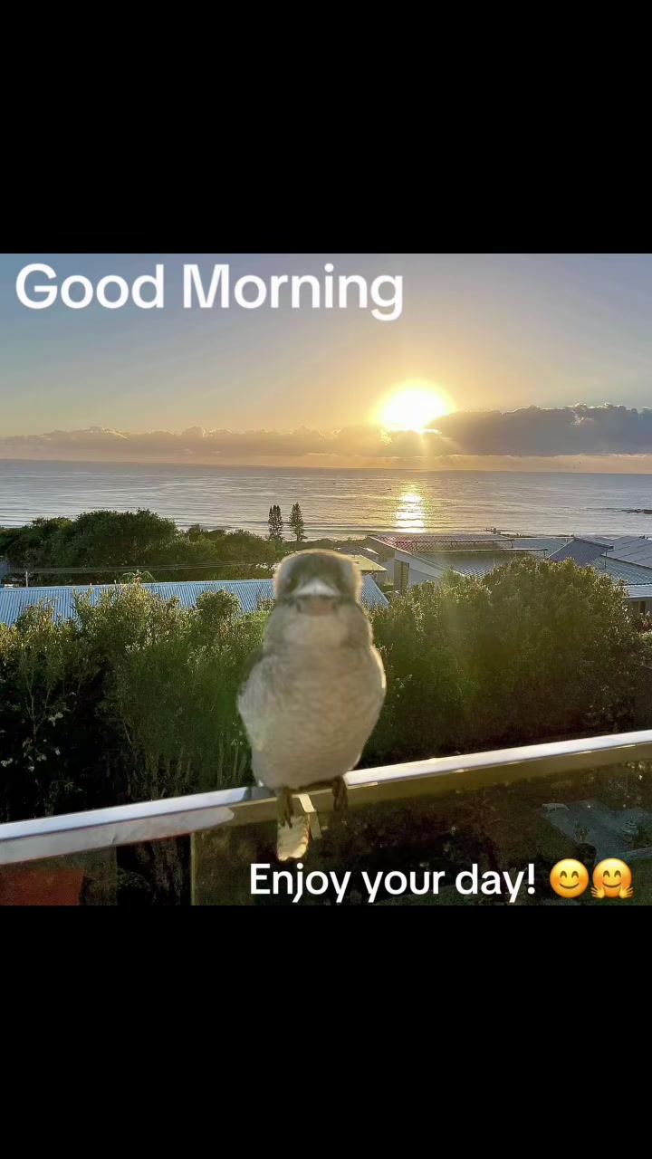 @Tina