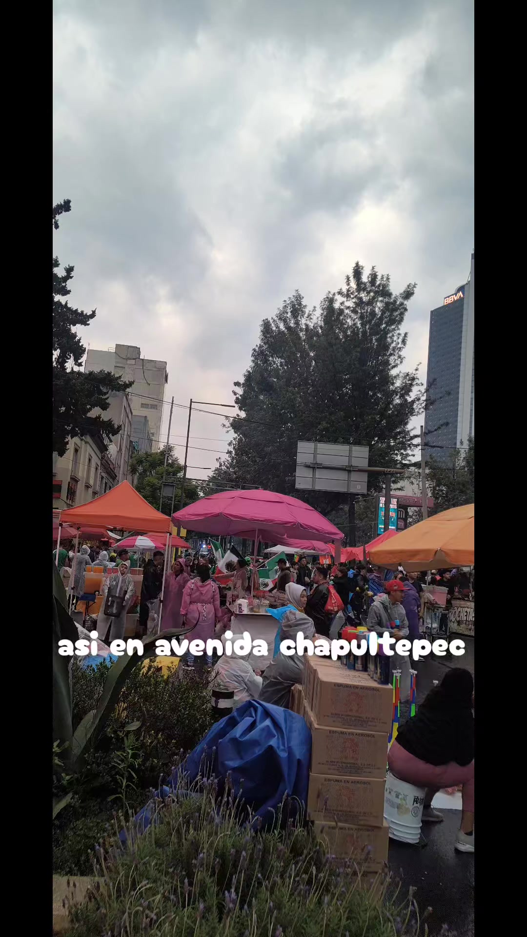 @el super fan