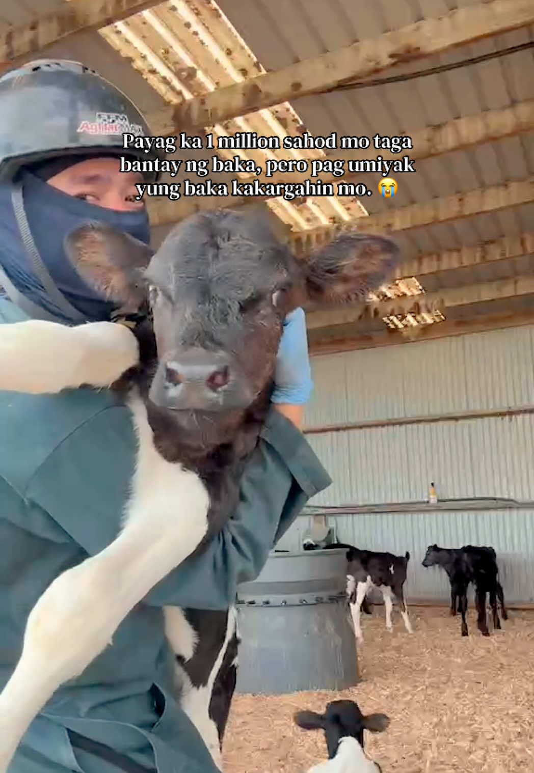 @DairyPov
