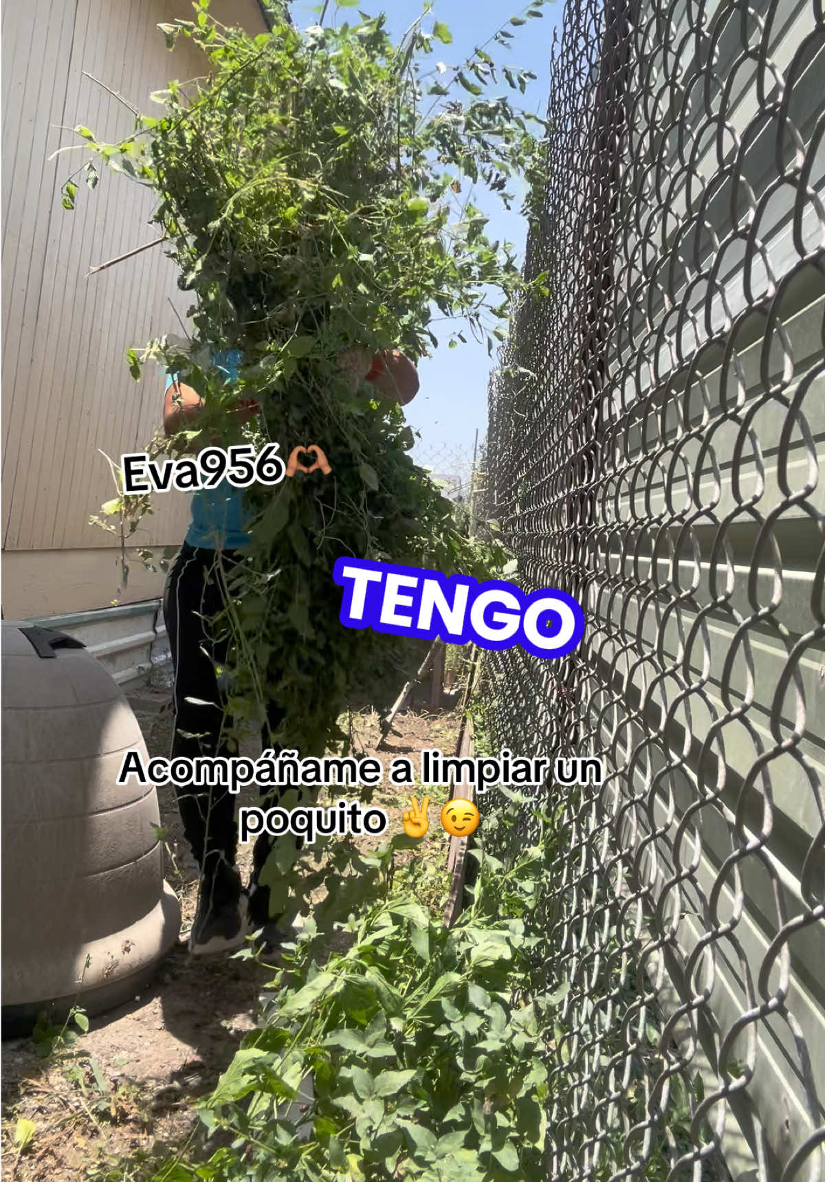 @Eva 956 🫶🏽