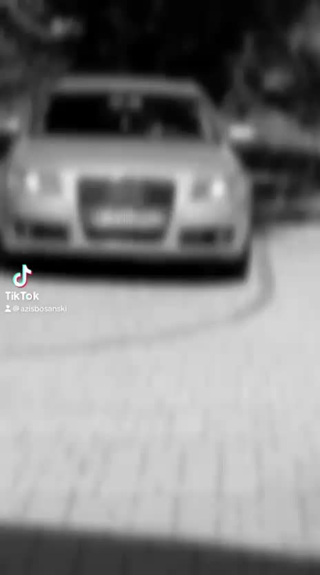 @👑𝖆𝖉𝖎𝖘🇧🇦 meskovic👑