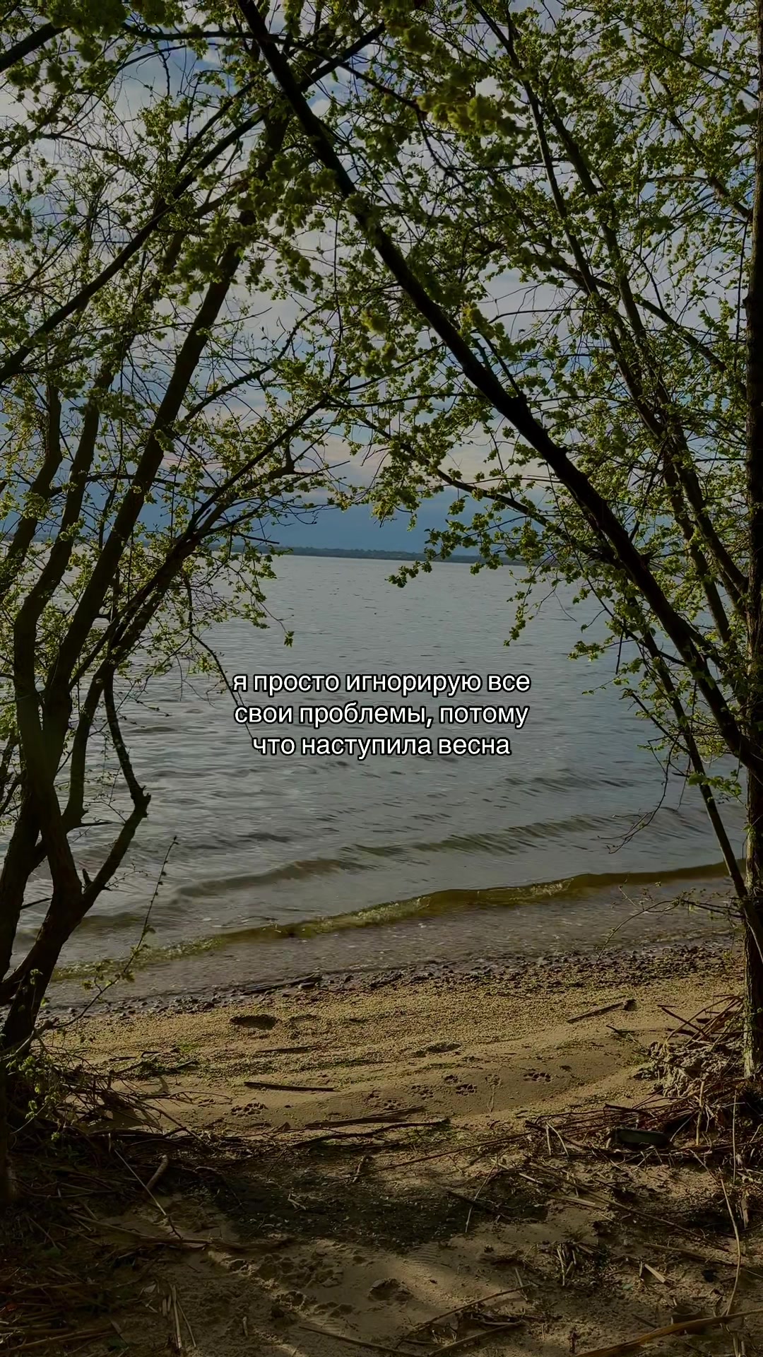 @Морталин🫀