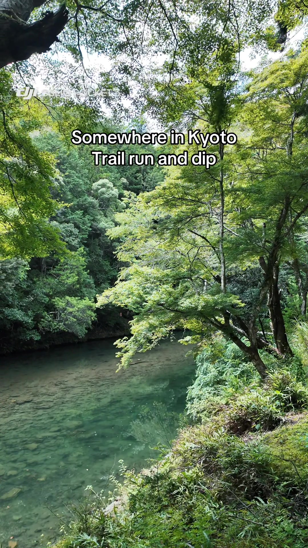 @リフキタキヤ