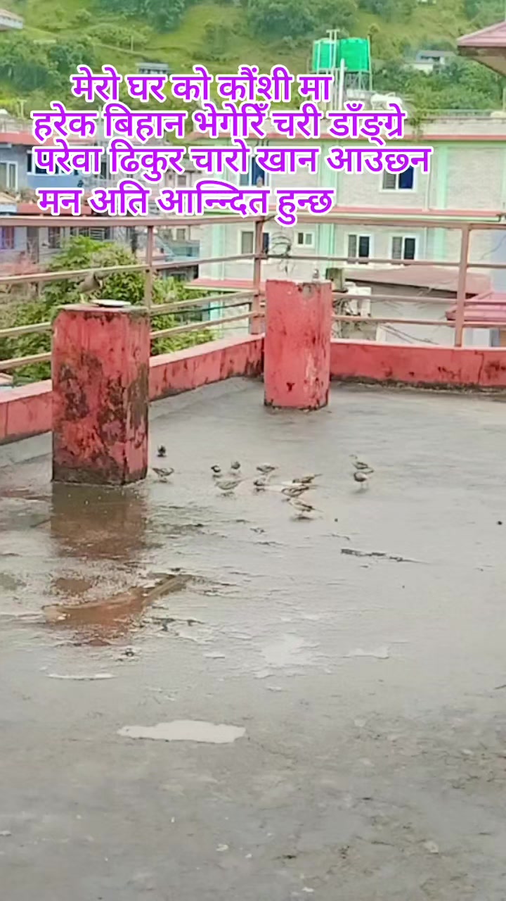 @बिष्णु खनाल (मष्टो कुल देवता)