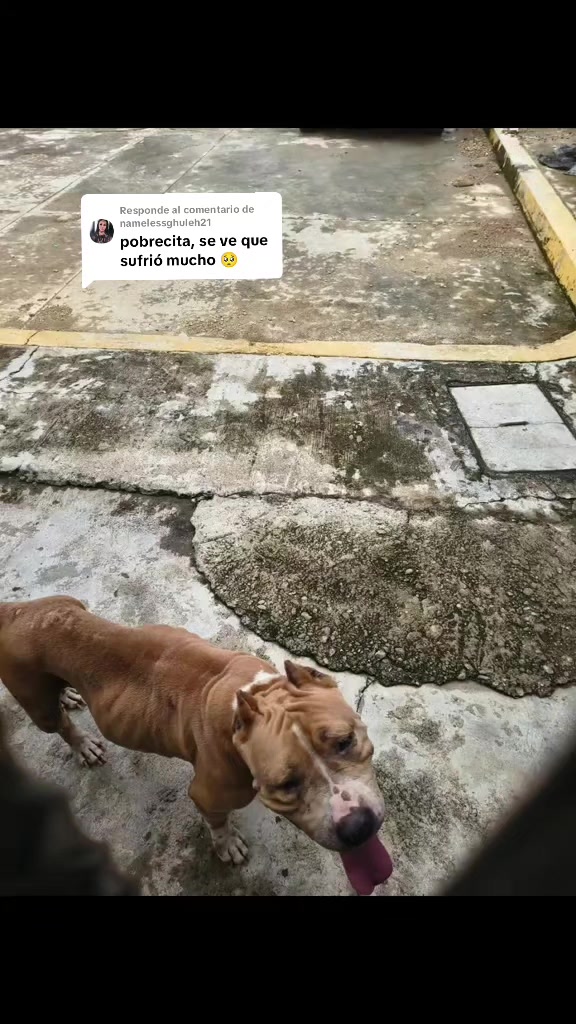 @Vero Pulgarón