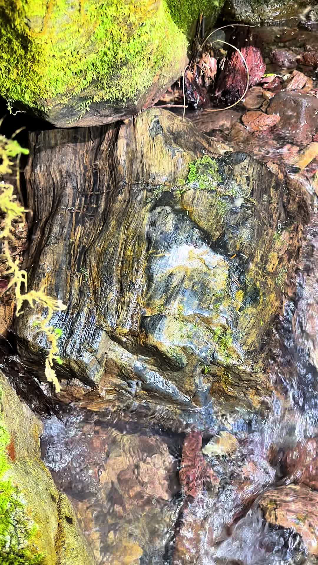 @❌ The Stone Zone ❌