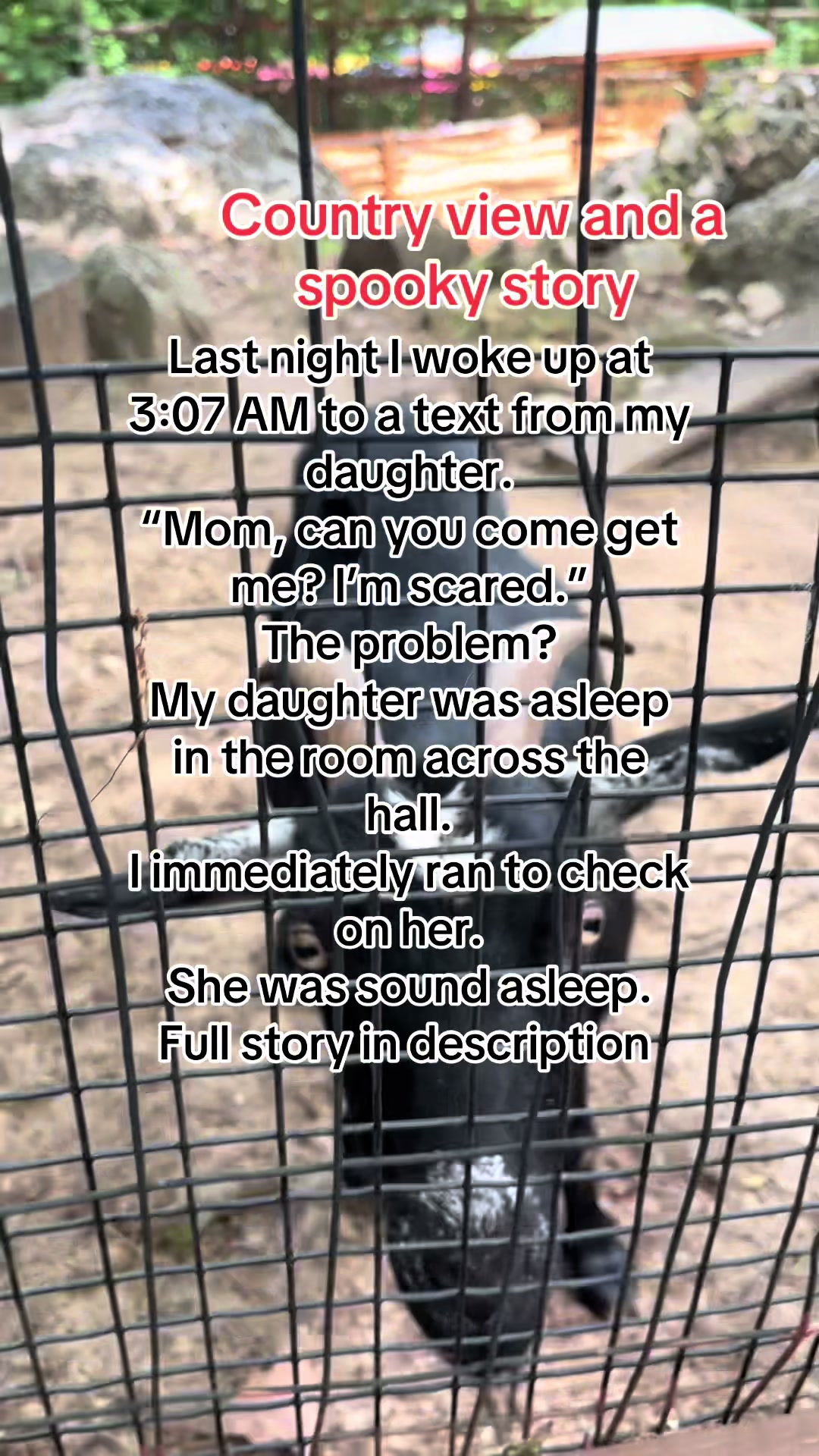 @DearLizzyStories👻