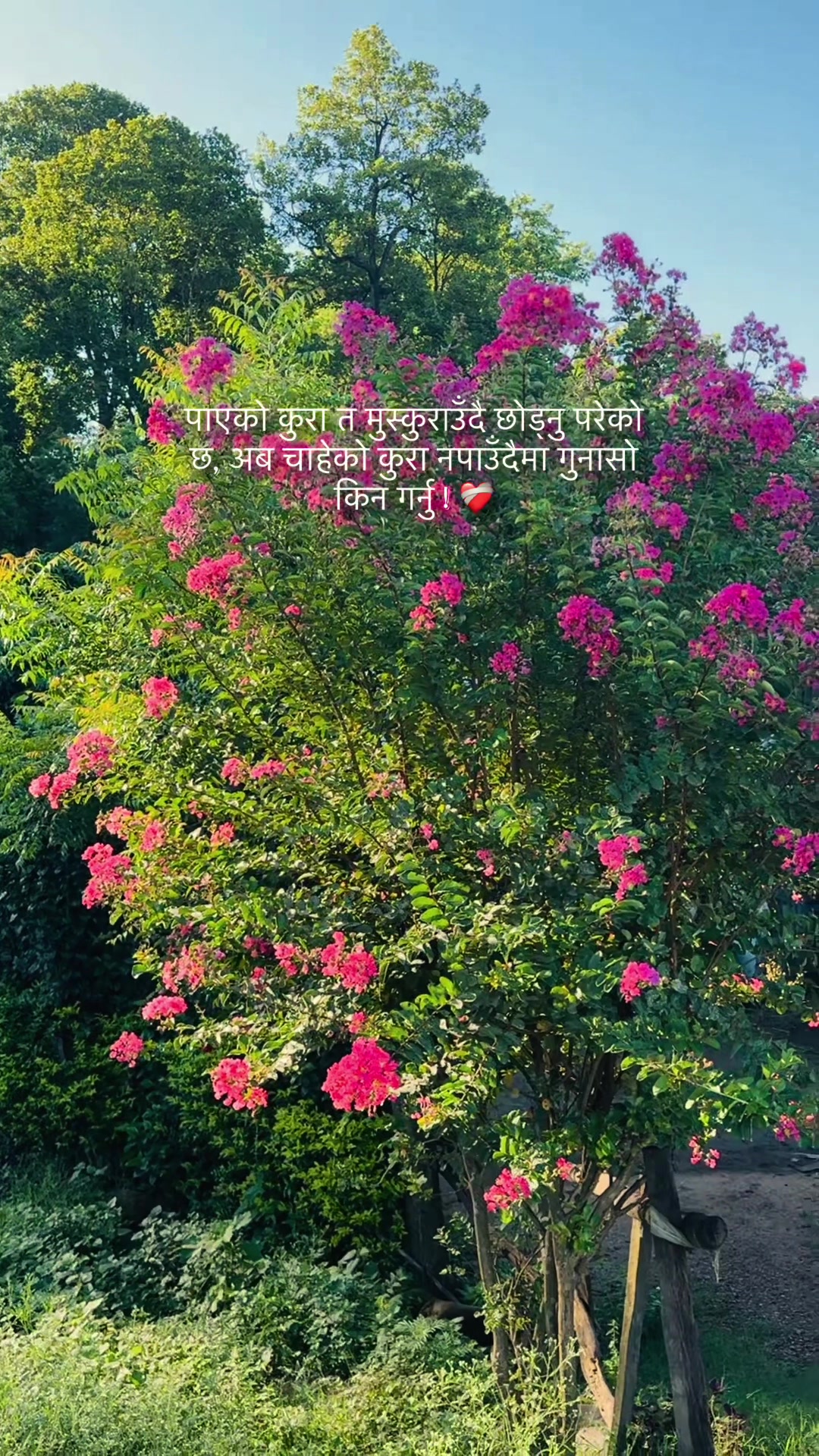 @Santoshi Gautam