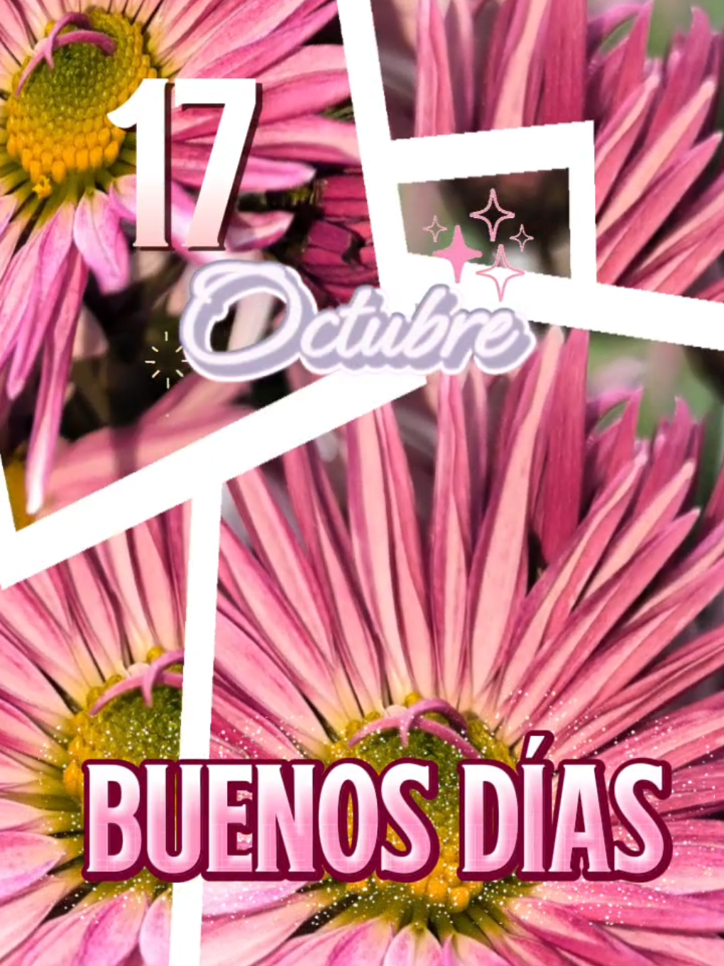 @Arely Mendoza Frases bonitas