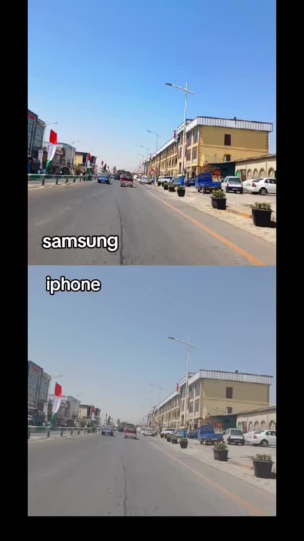 @Regaris