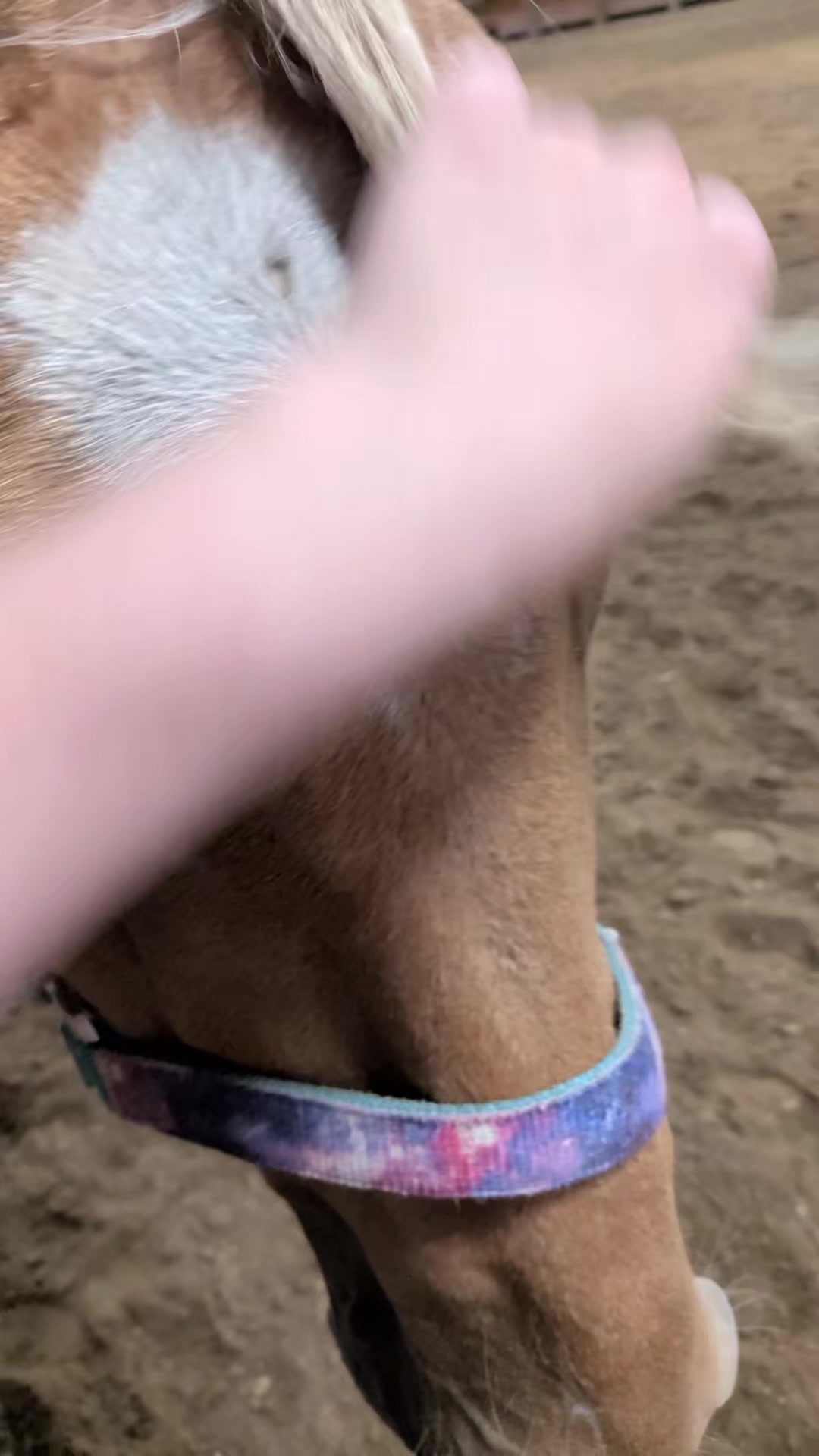 @EquestrianWeirdo