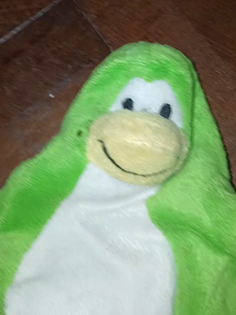 @ibi_thepenguinokyes27