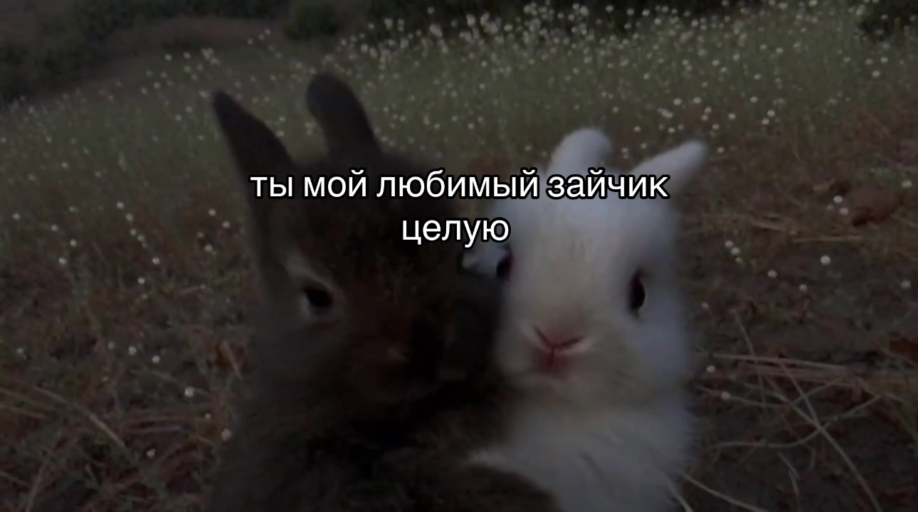 @осколки прошлого