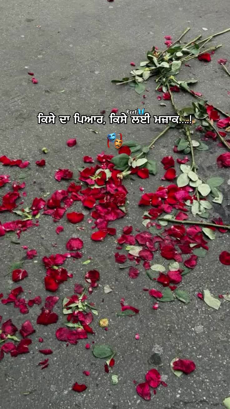 @Reet Kaur🦋🧚♀️🪬
