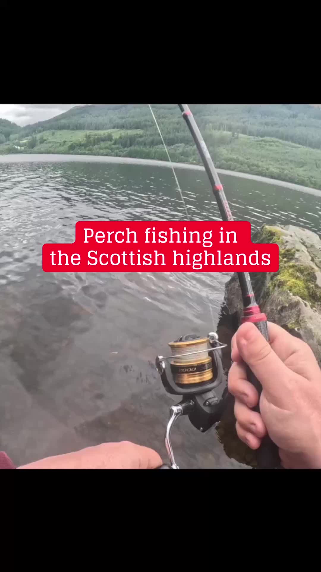 @fishingshaun