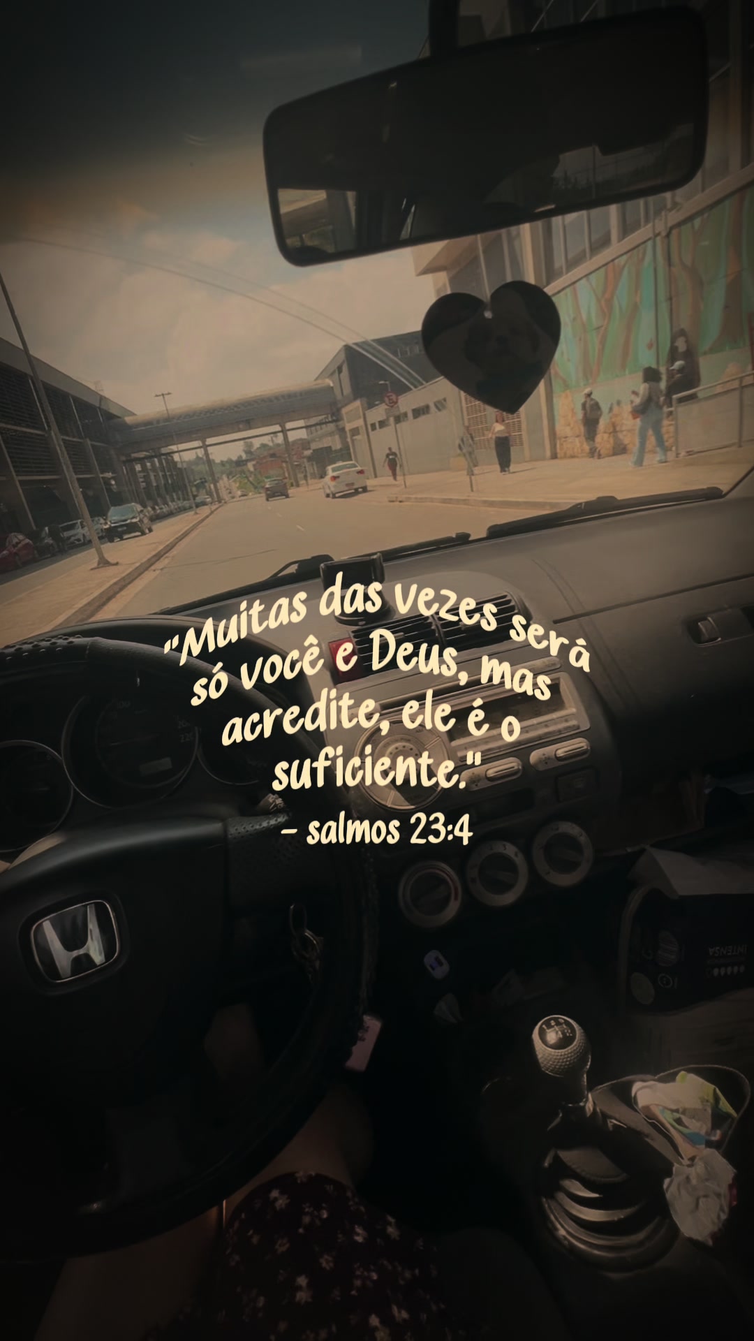 @Giseli Camargo
