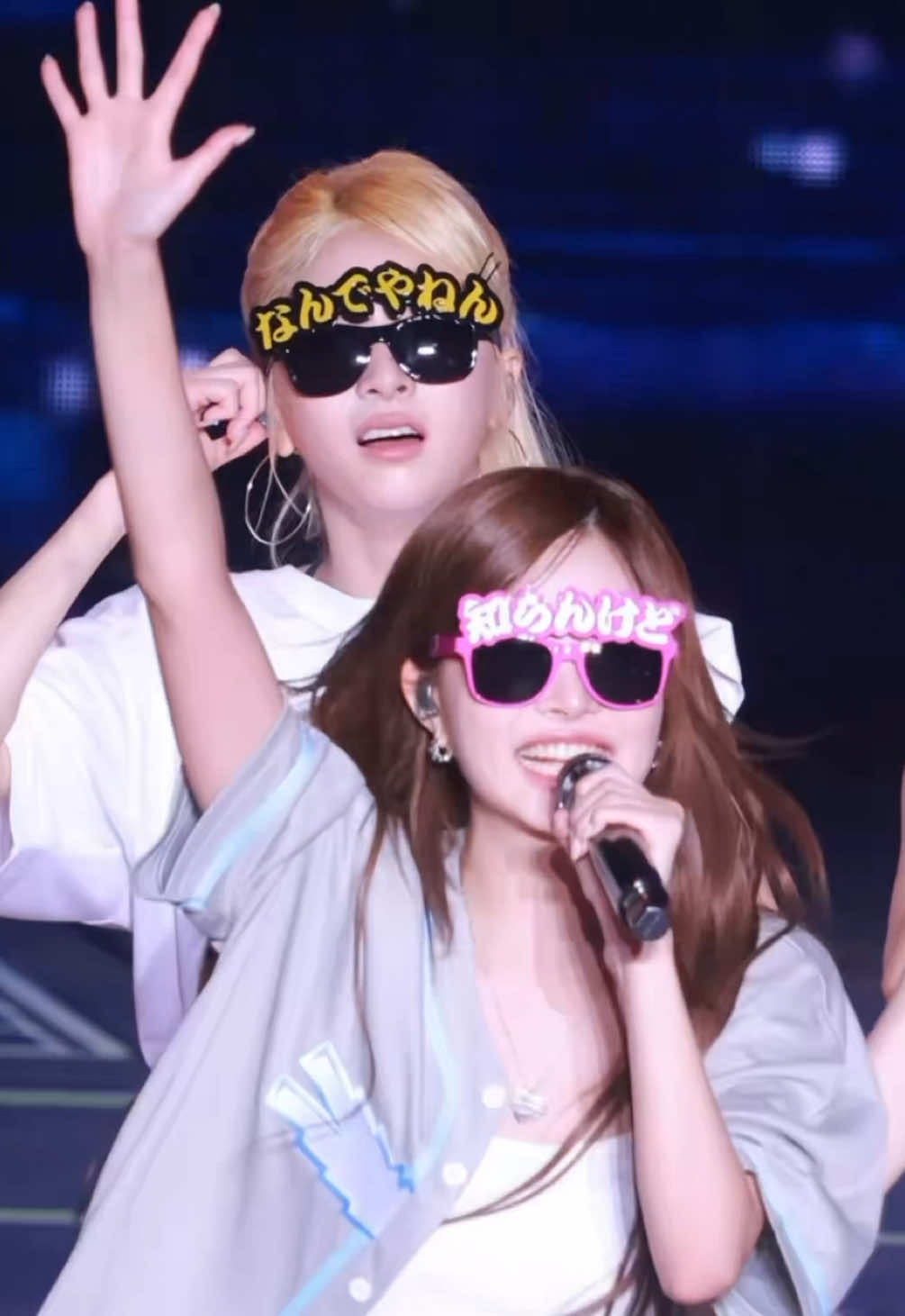 @Shingo 신고