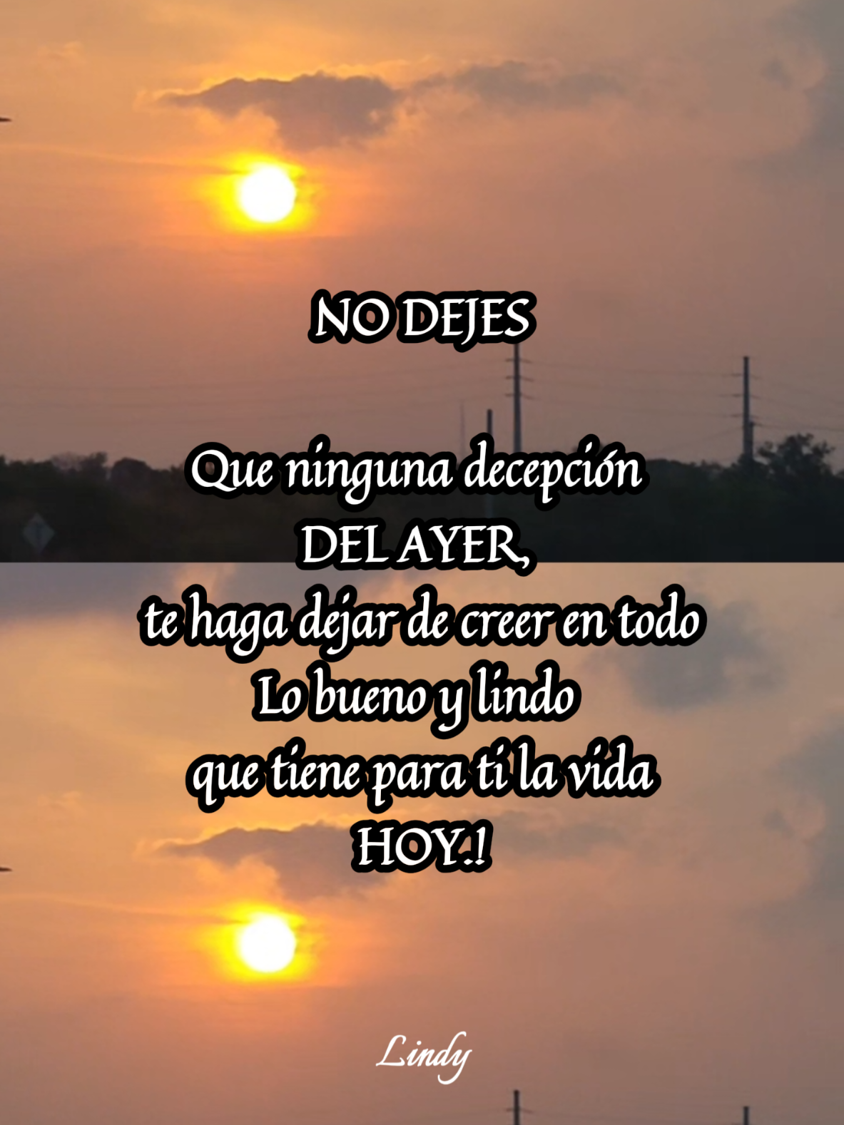 @Laura C. A.