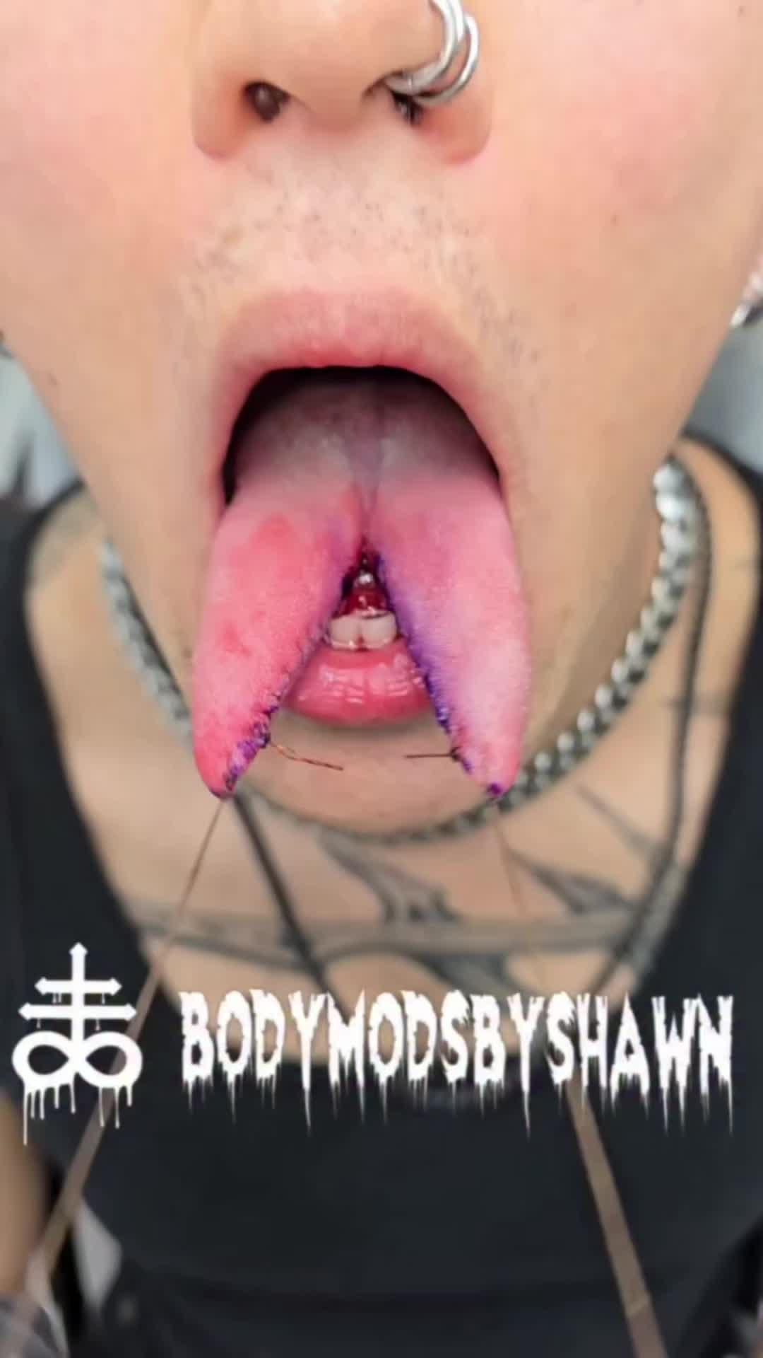 @BodymodsbyShawn