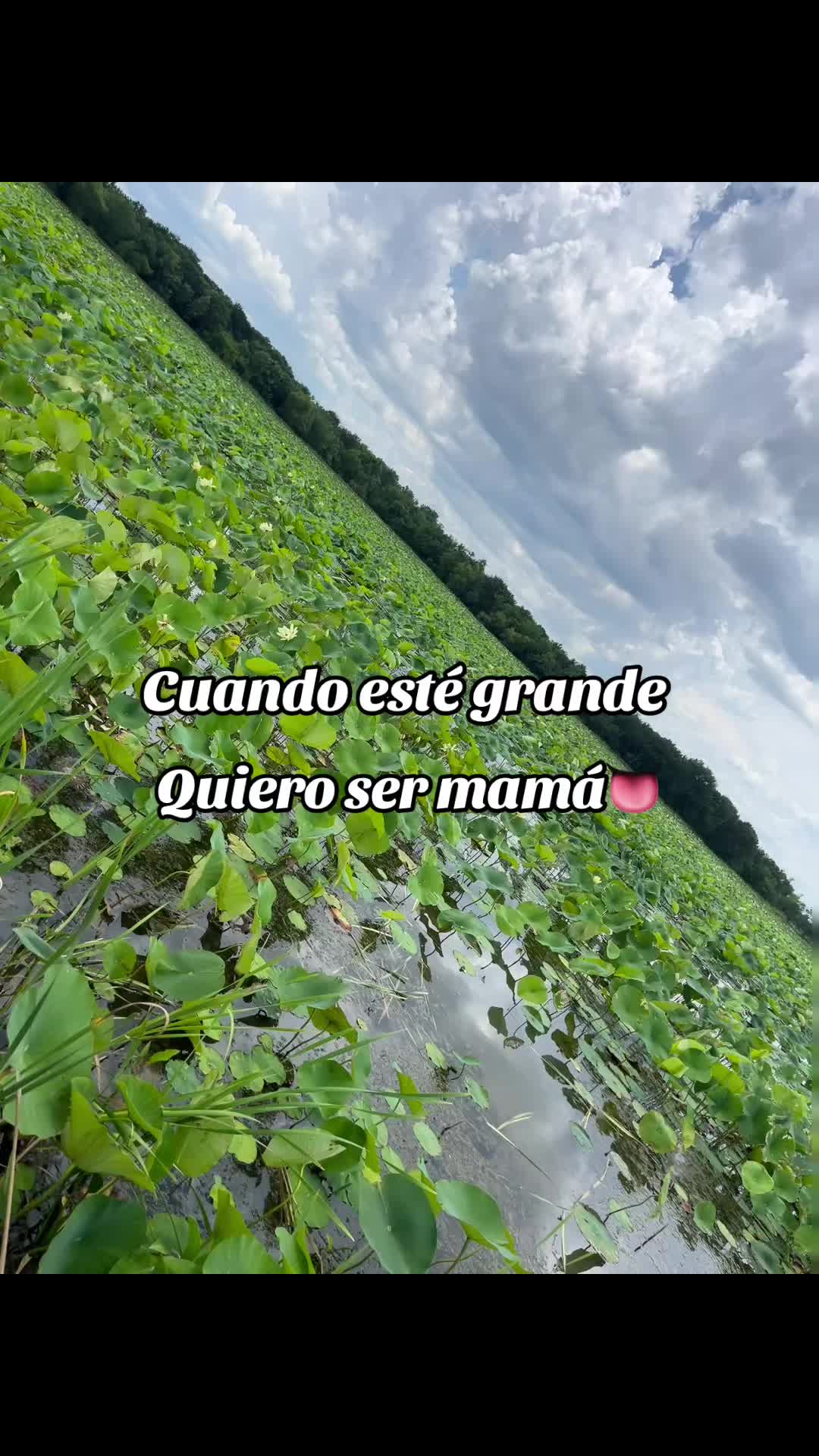 @Daiana📿🇲🇽J&hearts;️