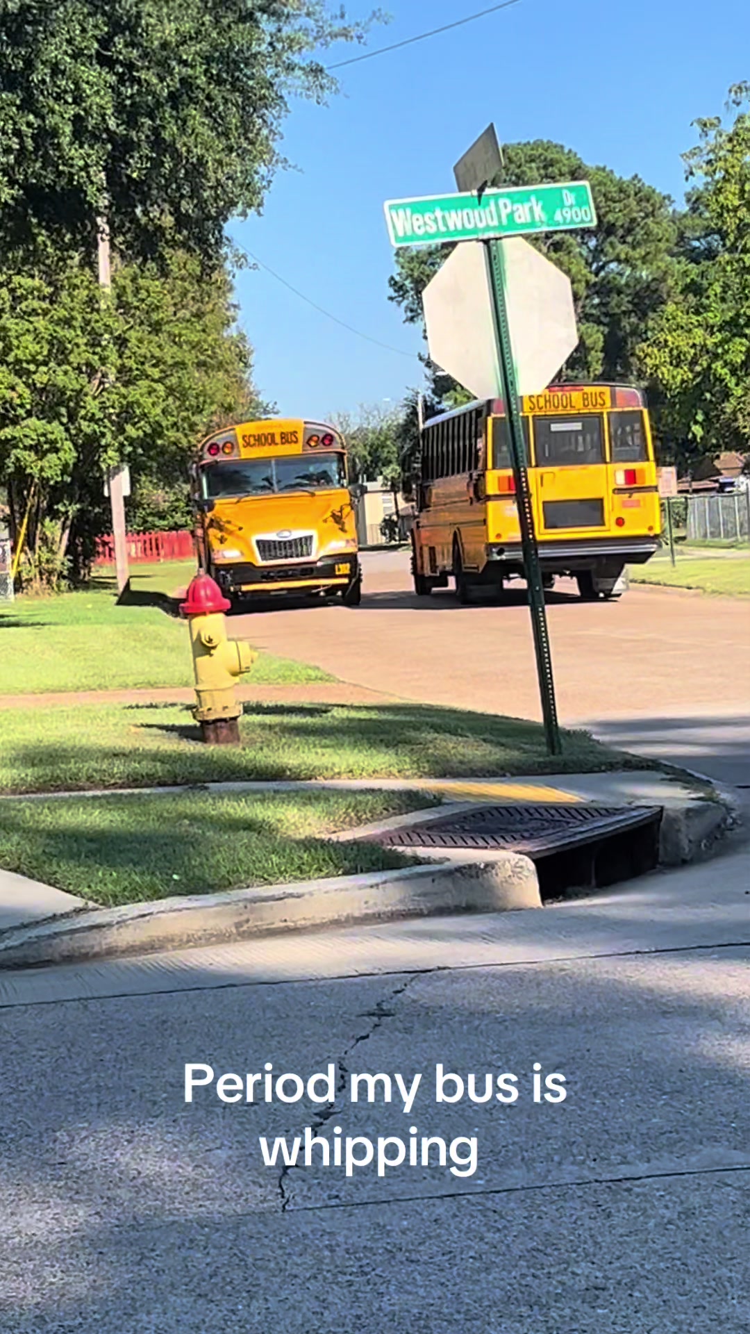 @Bluebirdbus302