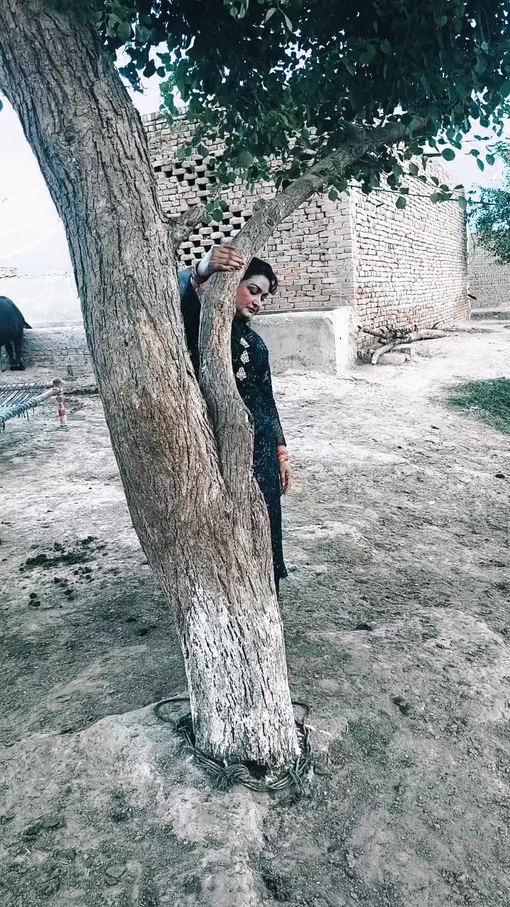 @★彡[ꜰɪʟᴍ ꜱᴛᴀʀ ɴᴀɪɴ ꜱʜᴇʜᴢᴀᴅɪ]彡★