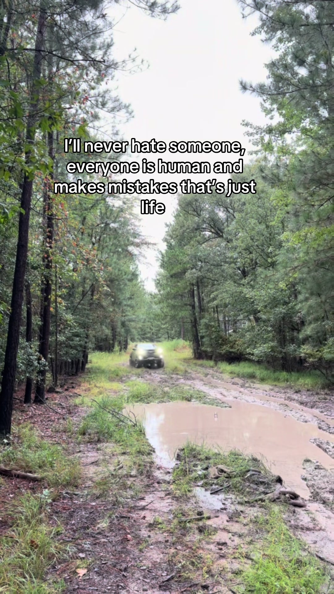 @Matthew 🌾