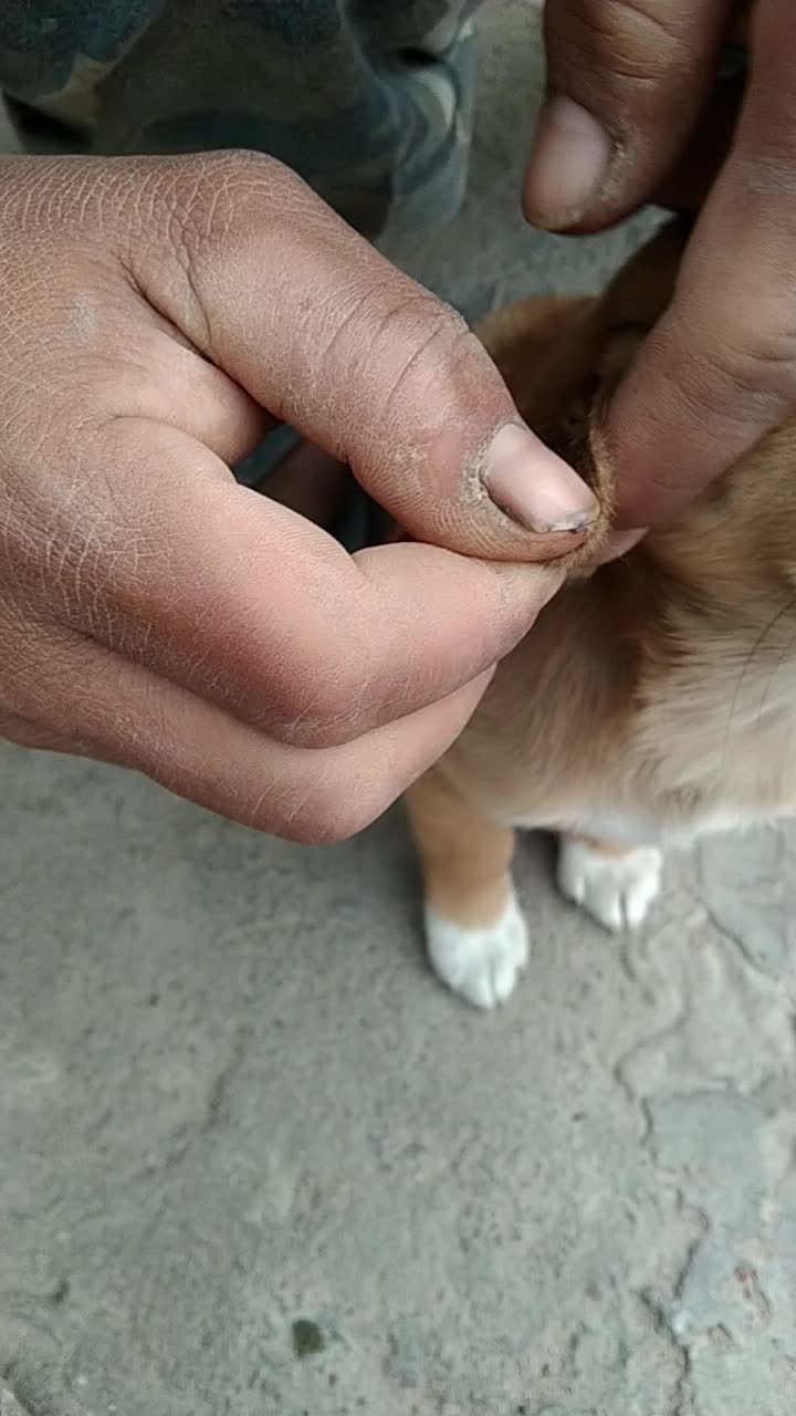@siuthanh81
