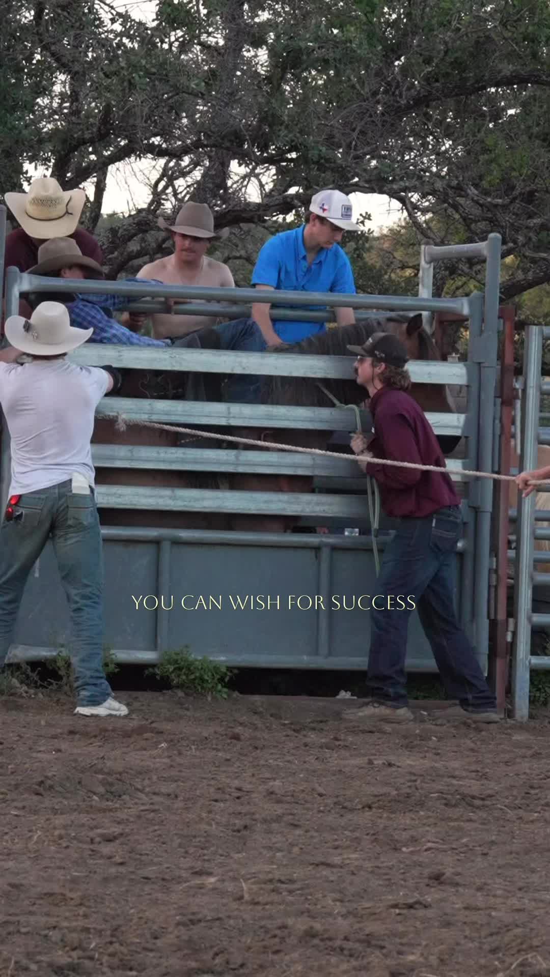 @Talk Rodeo To Me