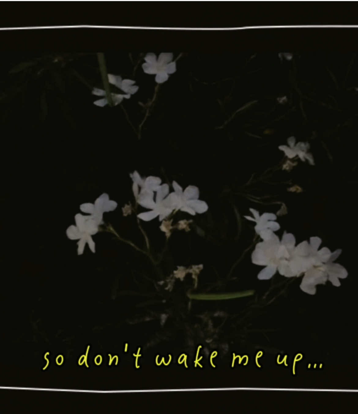 @Magika