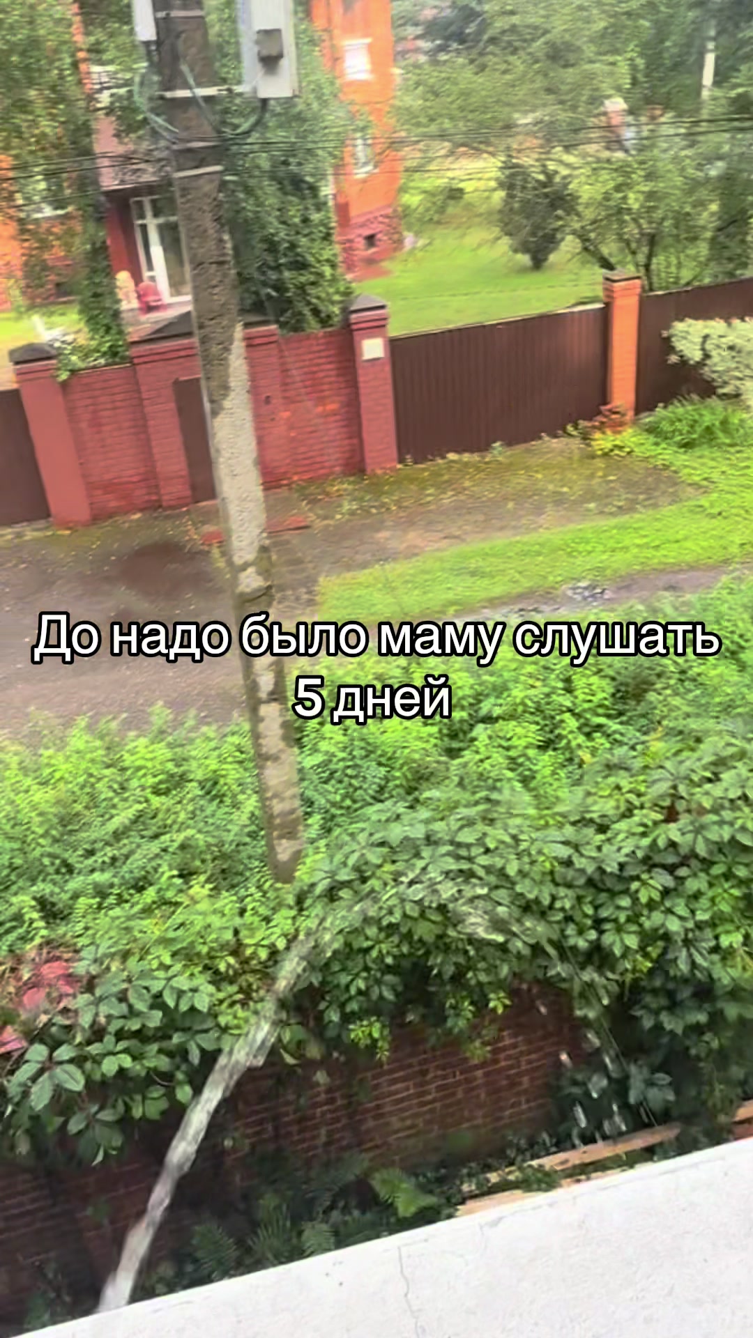 @projectmimo