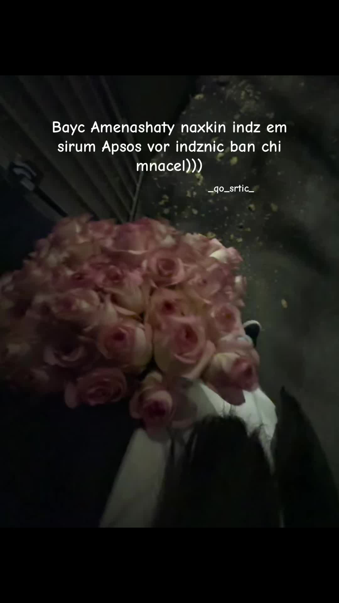 @_qo_srtic__