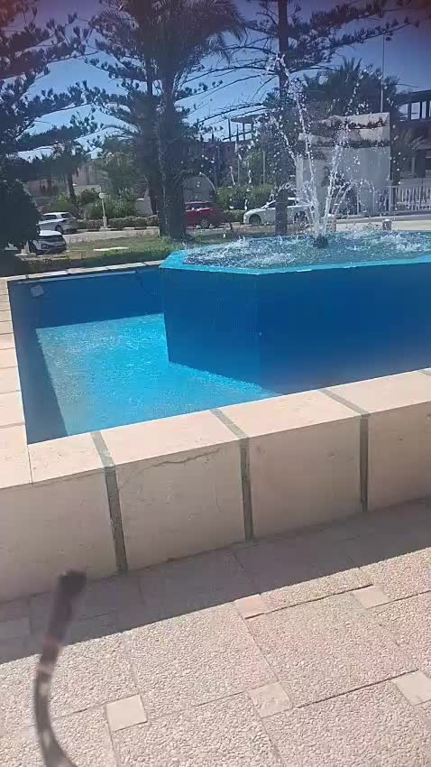 @azzedine31213