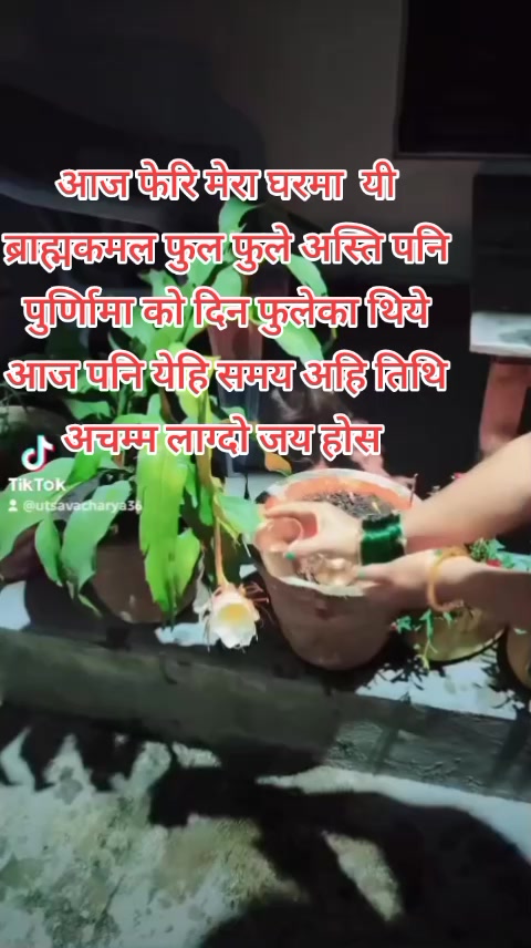@Sanchita Pokharel Ac