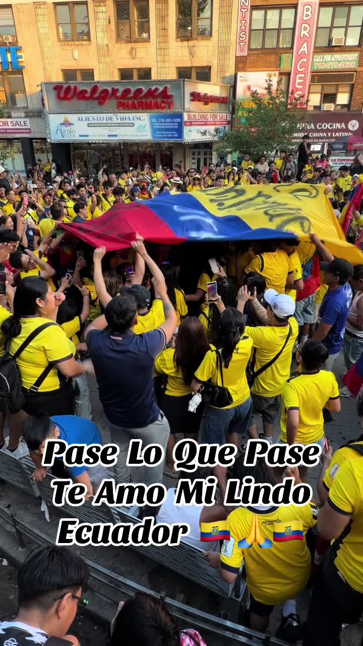 @Luisito 593✍️