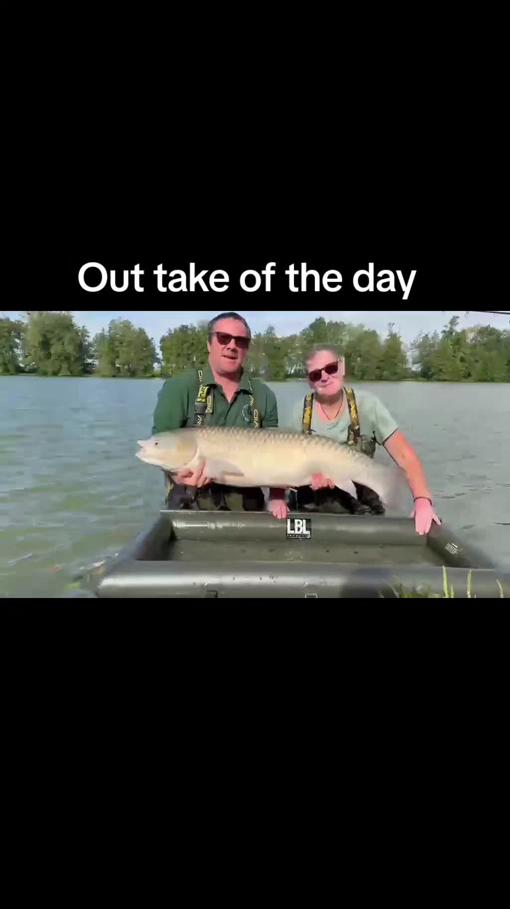 @scaley waters