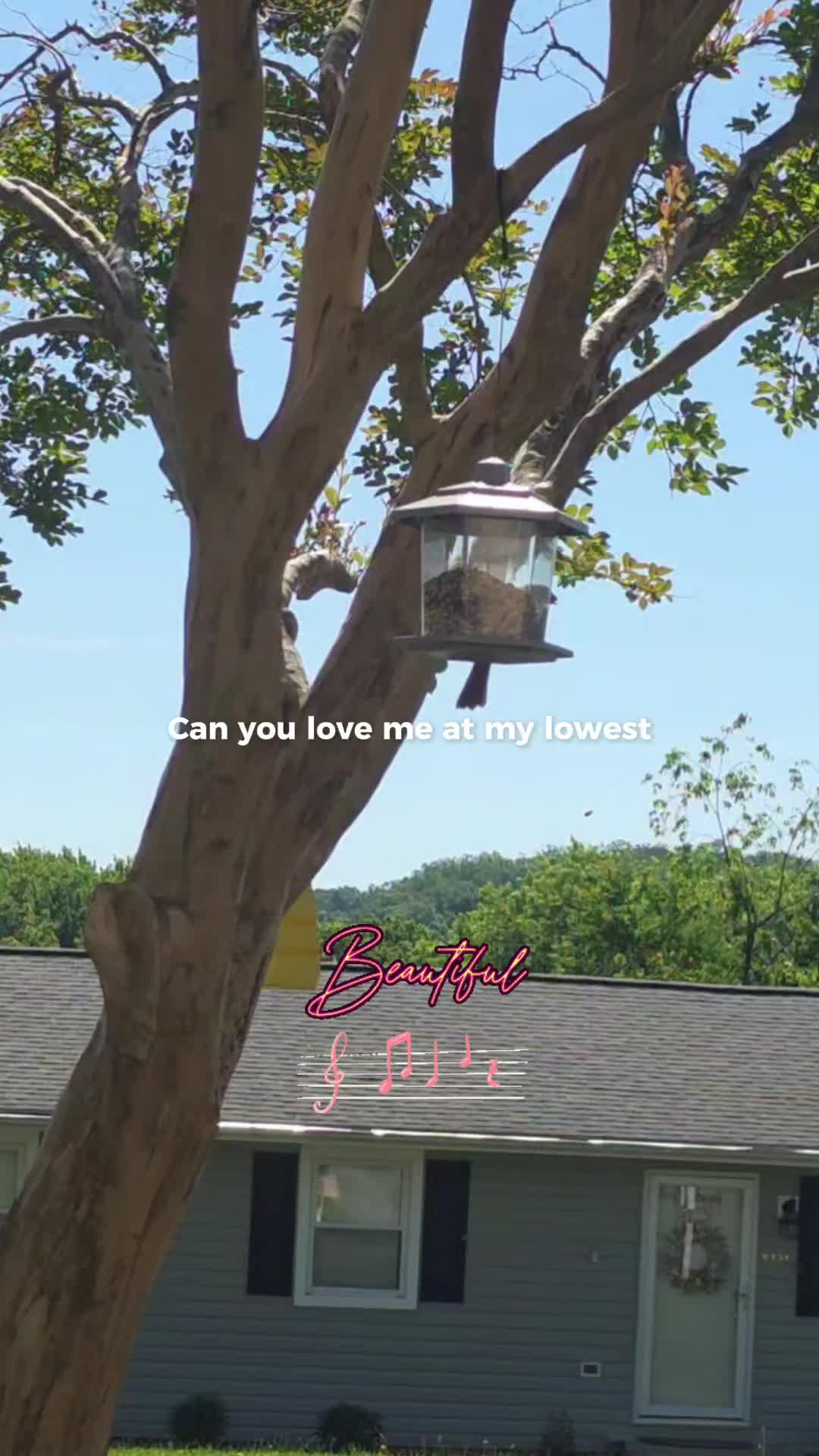 @Crystal Campbell ๐บ