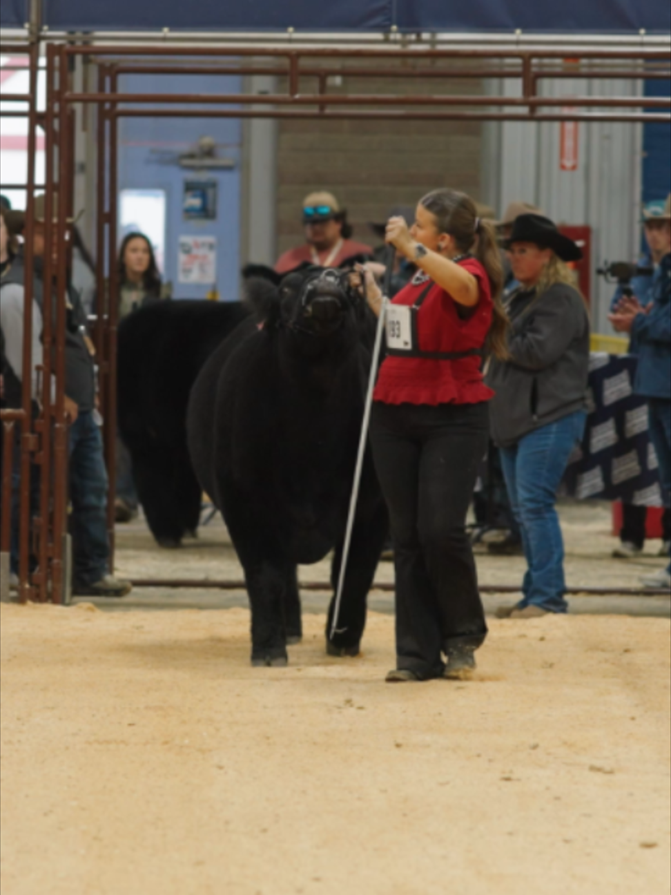 @AZ National Livestock Show