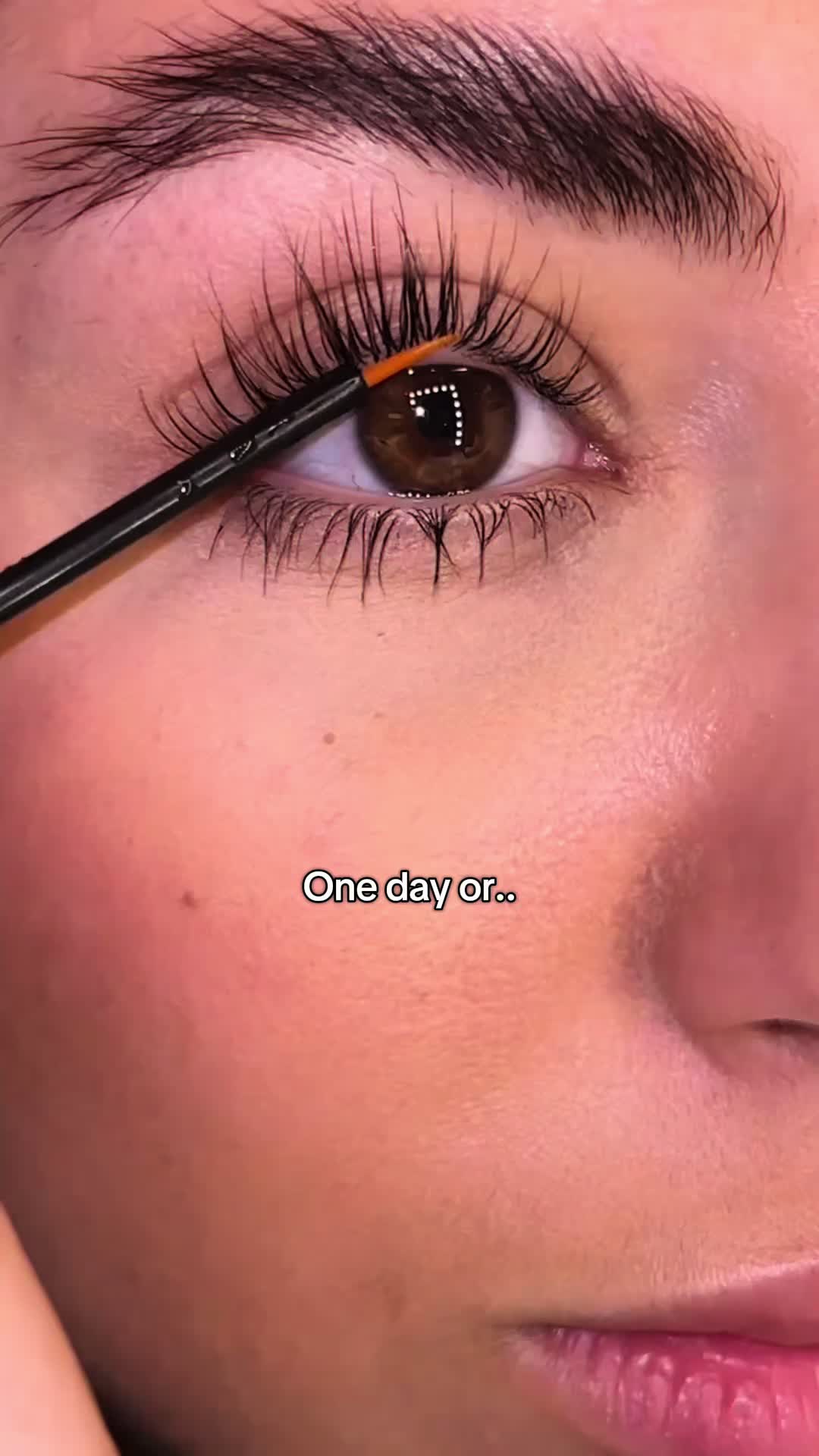 @Lash by Maya
