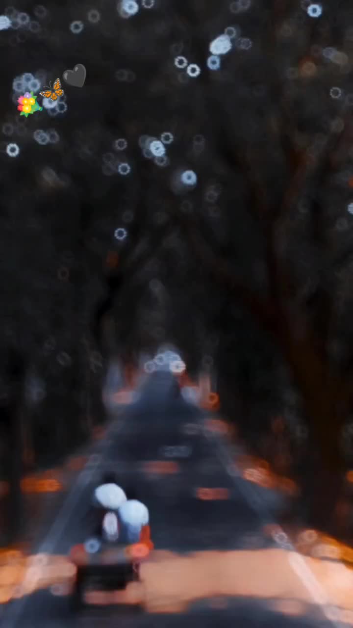 @💥🦋_Ali_sha_🌼🥀