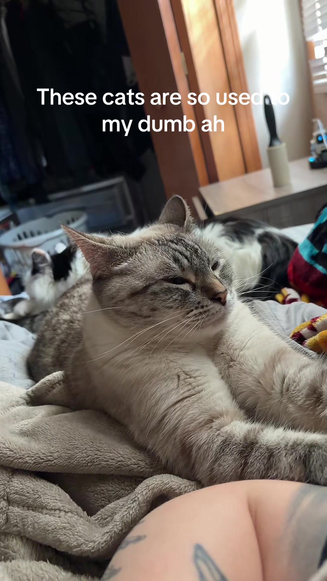 @maowmaowwwww
