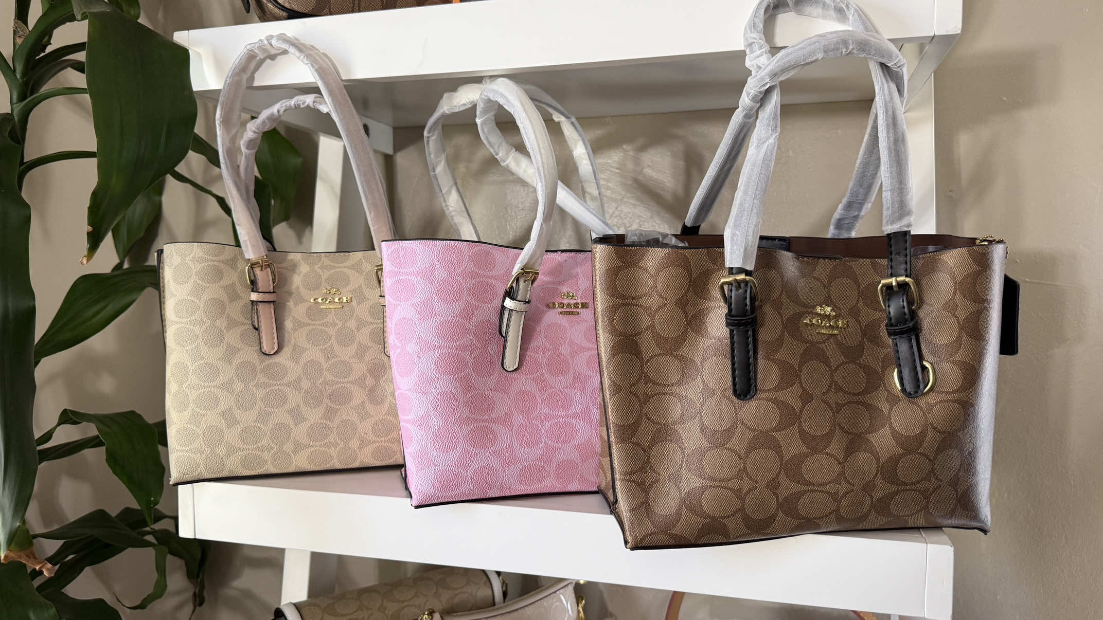 @Stacey’s Gift Shop & Boutique