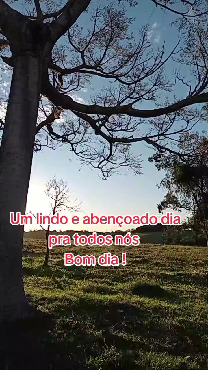 @Marlusa Ferreira Moreira