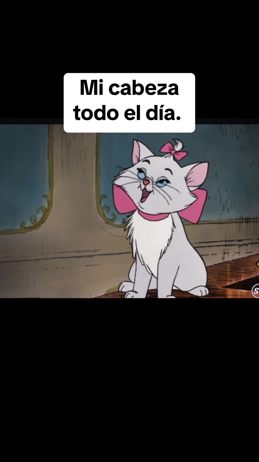 @Mabel Argueta🌻🌙🌞🦉