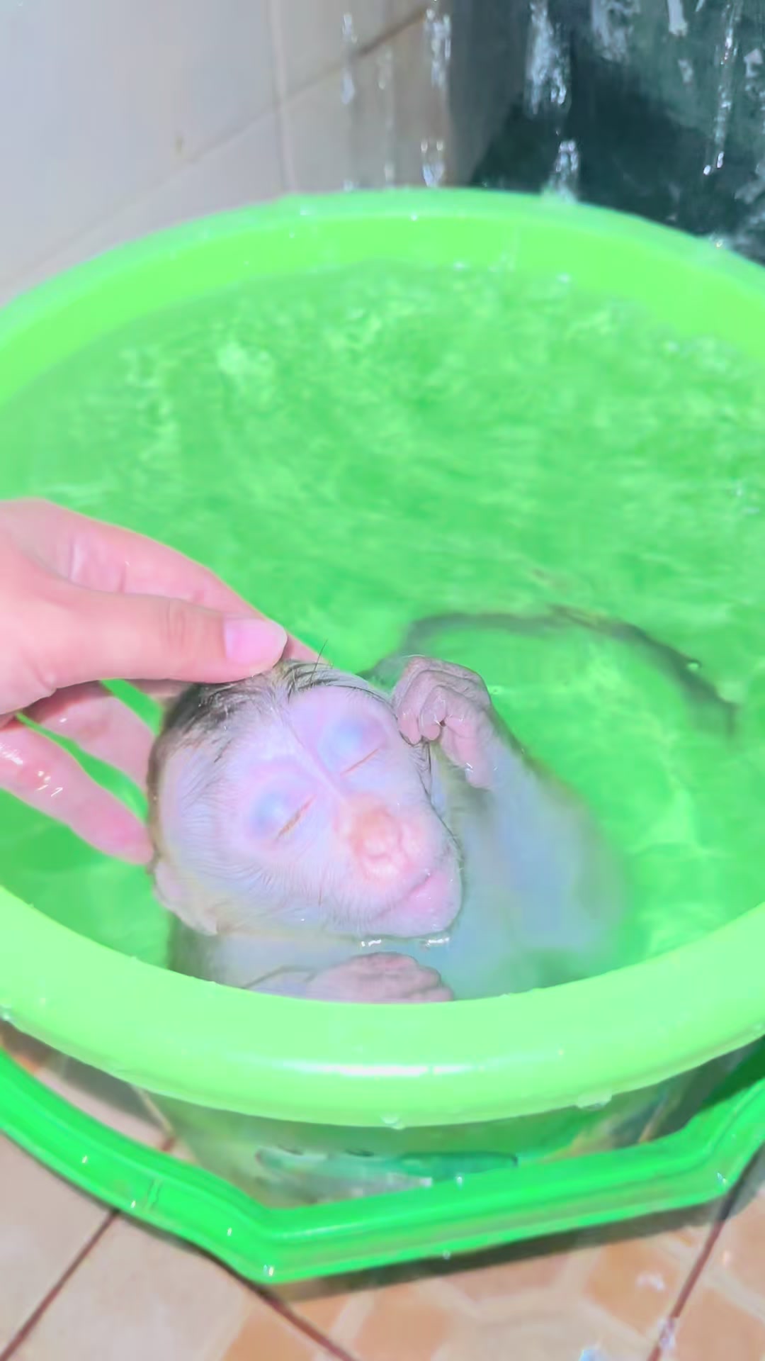 @Michelle🐒