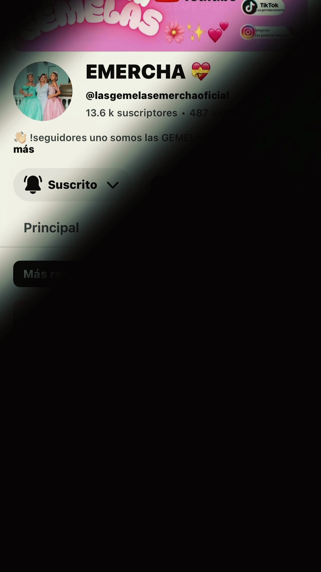 @Las  Gemelas Emercha  💝