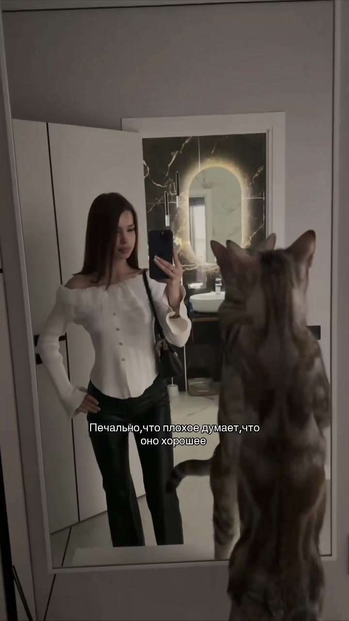 @Divetta