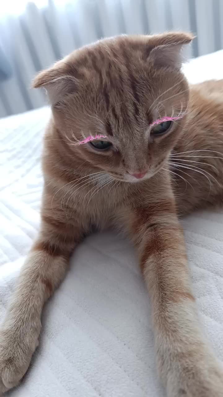 @pro_Kat_11