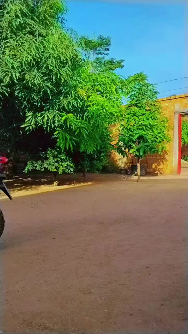 @Gil Ferreira Silva